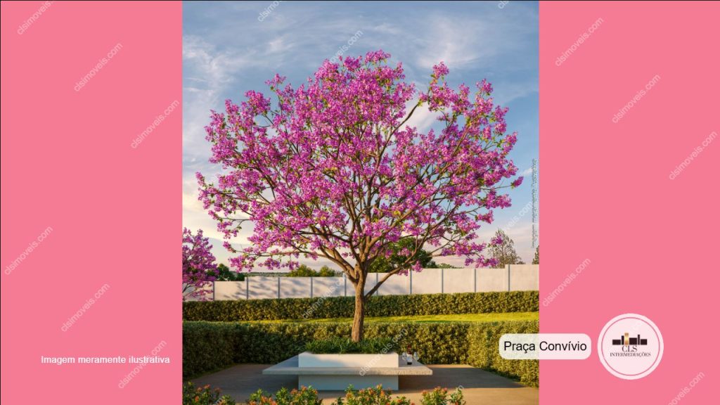 Residencial San Diego – HORTOLÂNDIA (Região Nova Prefeitura)